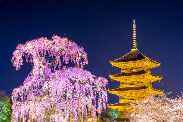 Toji pagoda w Kioto - Zdjęcie, obraz