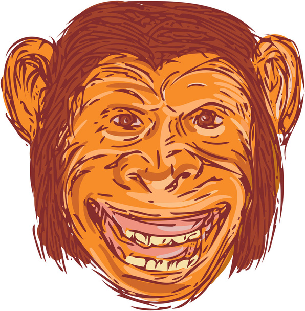 Chimpanzé cabeça frontal isolado desenho
 - Vetor, Imagem