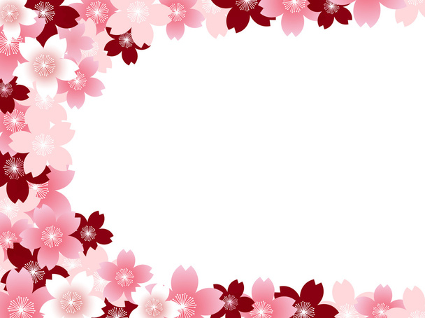 Spring cherry blossom background - Vector, Image