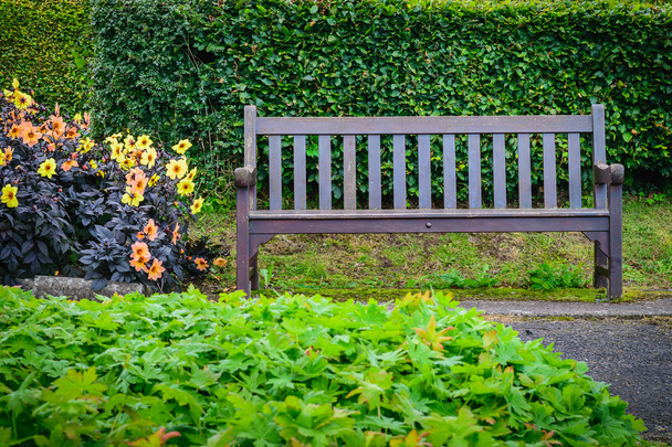 Дерев'яний стілець на траві в саду
 - Фото, зображення