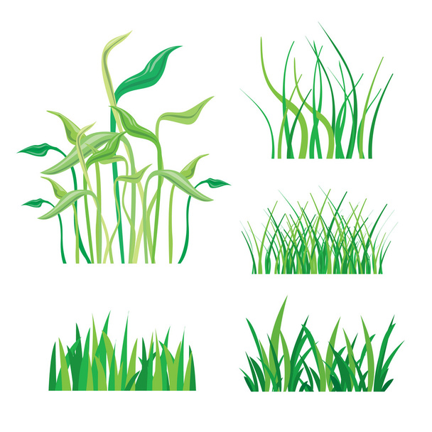 白いベクトル図に分離された緑の草の背景 - ベクター画像