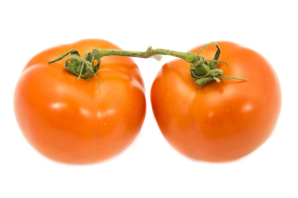 dos tomates con tallo verde sobre fondo blanco
 - Foto, imagen