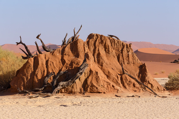 Sossusvlei bela paisagem do vale da morte
 - Foto, Imagem