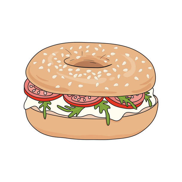 Fresh bagel sandwich with cream cheese, rucola and tomato. Sesame seeds on top. Vector illustration. - Vector, Image