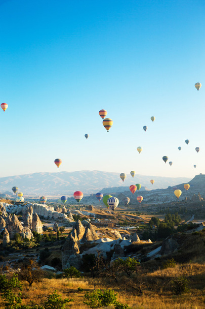 Balloons flying over the Cappadocia - 写真・画像