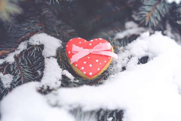 Бисквит с красным сердцем в вечнозеленом дереве
 - Фото, изображение