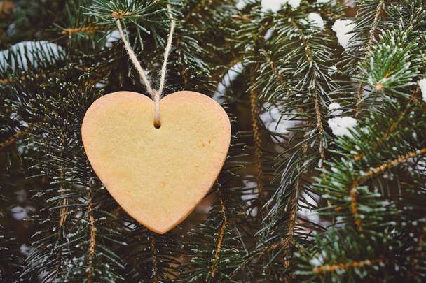 Biscuit Cake Heart at the Evergreen Tree - Φωτογραφία, εικόνα
