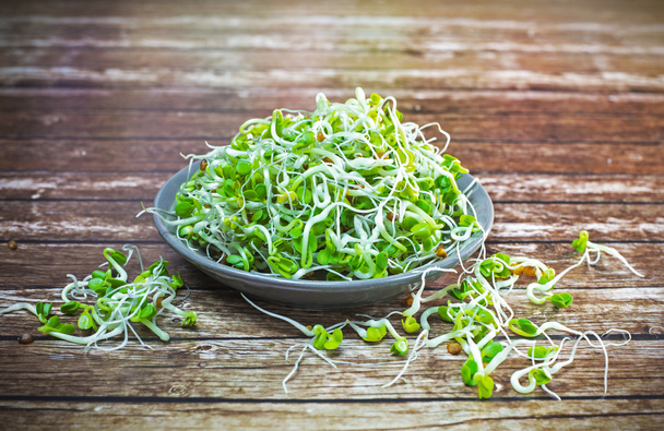 Small plate of sprouts - Photo, Image
