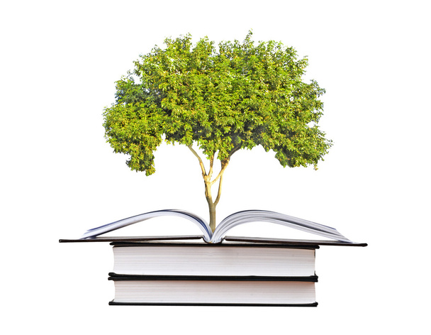 Δέντρο που αναπτύσσεται από ένα ανοιχτό βιβλίο - Φωτογραφία, εικόνα