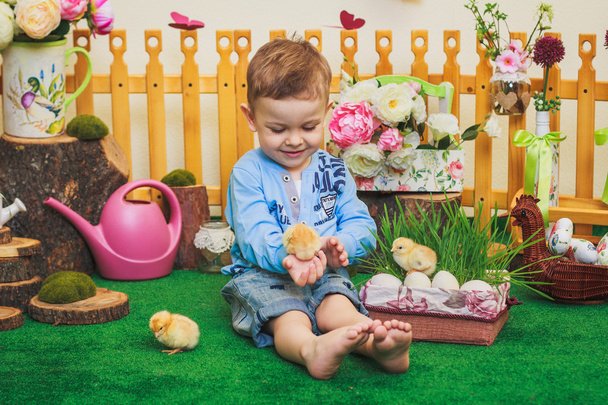 Sonriente chico tocando pollo pequeño
 - Foto, Imagen