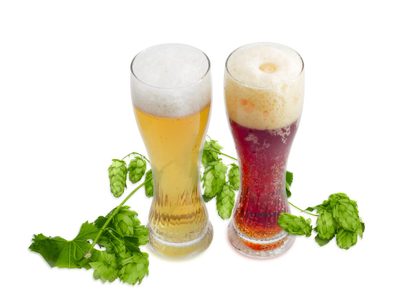 Due bicchieri di birra di varia birra e ramo di luppolo
 - Foto, immagini