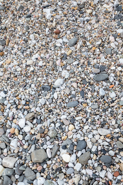 a pebbly beach - Photo, Image