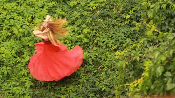 Piękna młoda kobieta w sukni moda czerwony pozowanie na zielonych winogron - Materiał filmowy, wideo