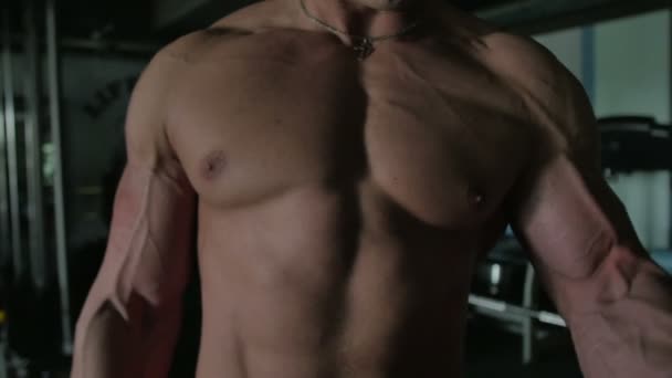 Männertraining im Fitnessstudio - Filmmaterial, Video