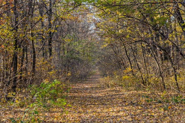 Horská cesta v podzimní krajině. Horizontální pozadí moun - Fotografie, Obrázek