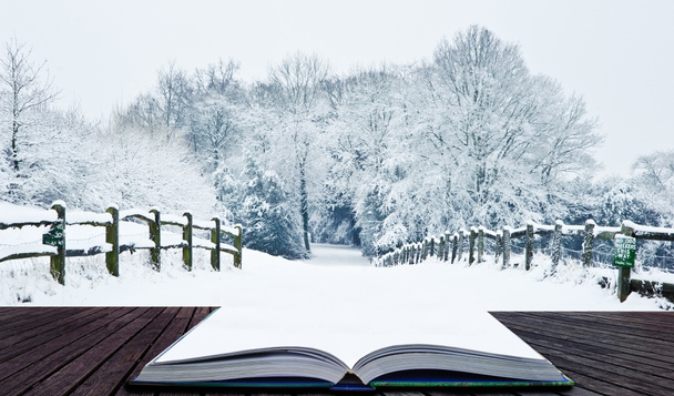 zima krainie śniegu krajobraz na stronach książki magiczne - Zdjęcie, obraz