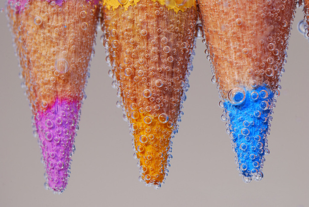 Três lápis de cor na água
 - Foto, Imagem
