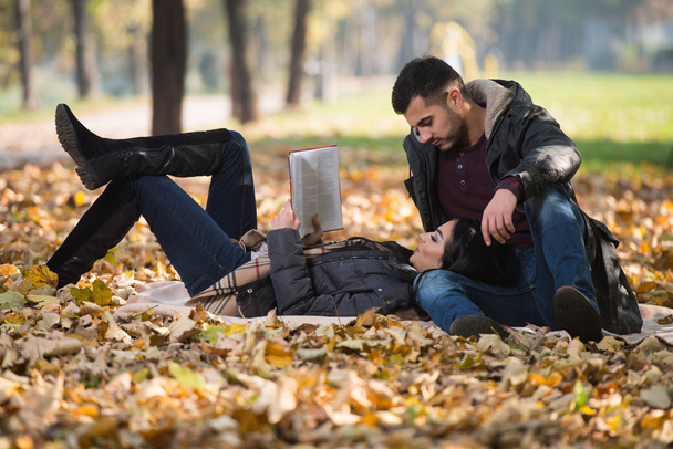 Couple Enjoying Book Reading In Autumn Park - Photo, image