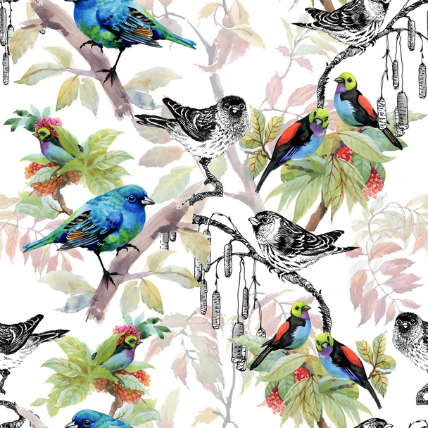 sketched birds on twigs - Photo, Image