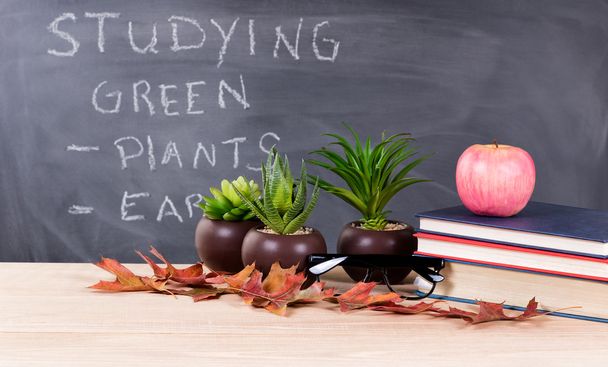 Estudar temas verdes com objetos da natureza no ambiente de sala de aula
 - Foto, Imagem