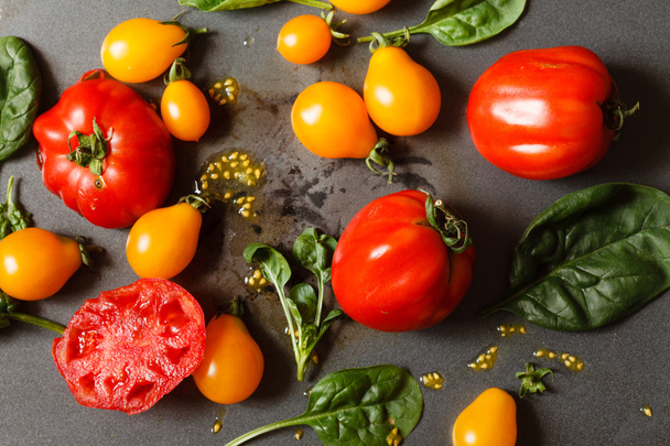Tomates frescos com folhas de espinafre
 - Foto, Imagem