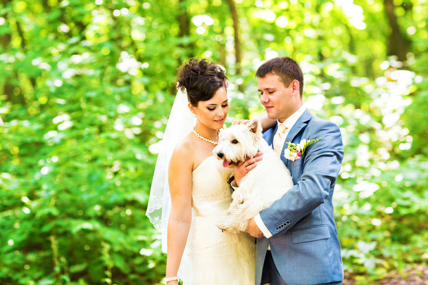 mariée et marié avec chien West Highland terrier blanc
 - Photo, image