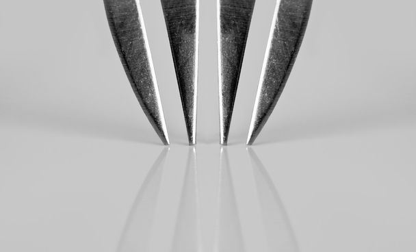 Macro shot of the tines of a fork - Photo, Image