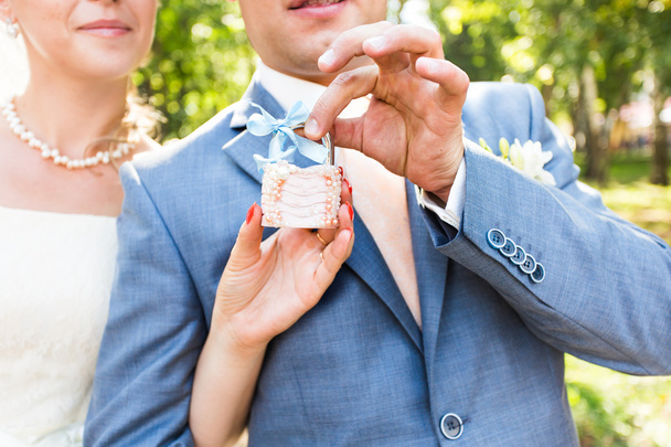 the lock in hands of newlyweds - Photo, Image