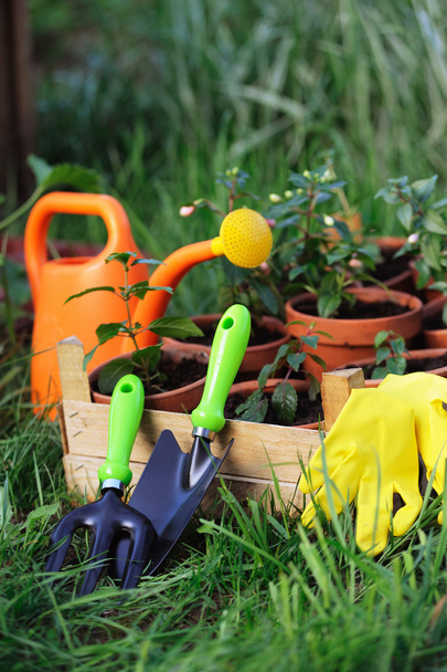 Gardening tools and flowers in pot outdoor - Photo, Image