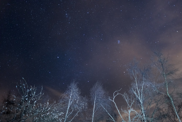 Hvězdnou oblohu s Capella a Plejády z Alp - Fotografie, Obrázek