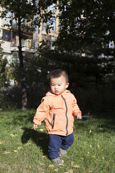 Söpö kiinalainen vauva poika leikkii ulkona
 - Valokuva, kuva
