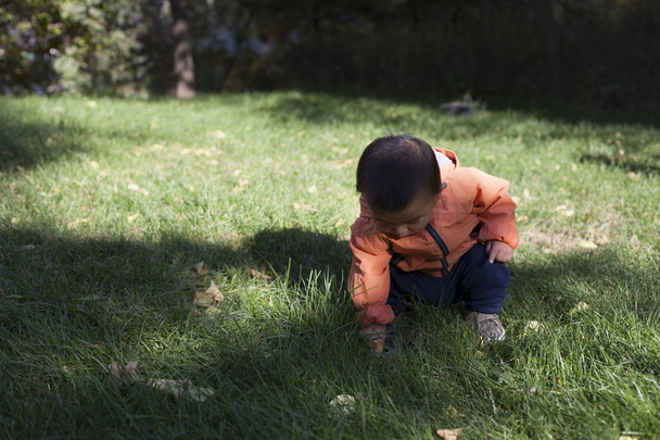 lindo chino bebé chico estudiar un fuente golpe agujero en hierba
 - Foto, Imagen