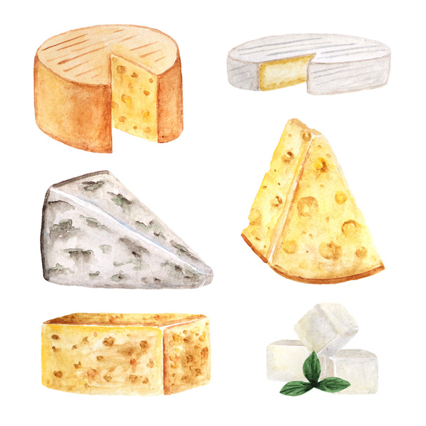 Watercolor cheese collection - Photo, Image