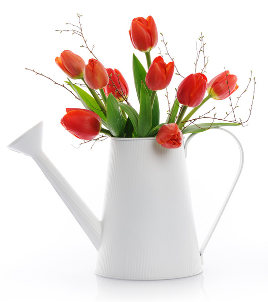 Red tulips - 写真・画像
