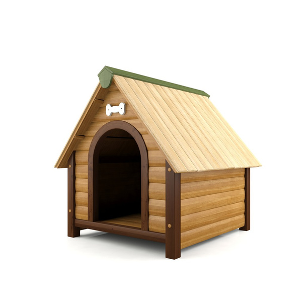 Puinen koira talo
 - Valokuva, kuva