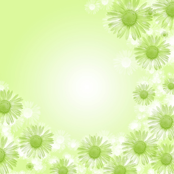 Fond floral abstrait
 - Photo, image