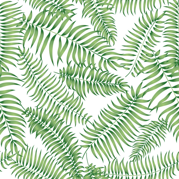 Orman palmiye yaprakları desen - Vektör, Görsel