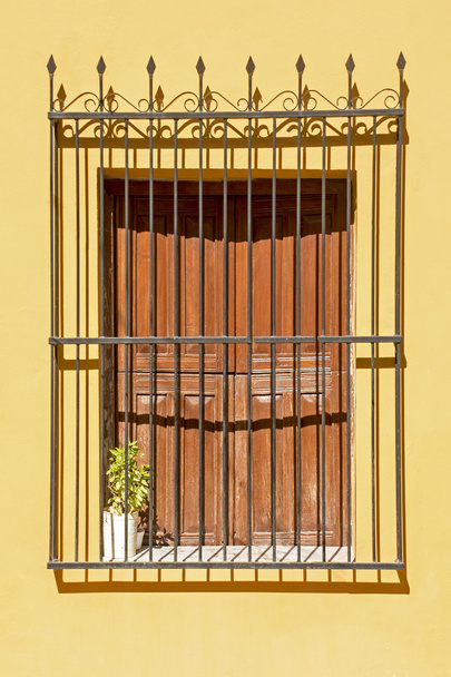  Старое кованое железное окно
 - Фото, изображение