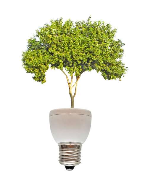 Tree growing from base of fluorescent lamp - Photo, Image