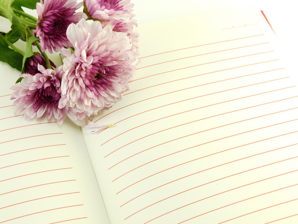 open notebook and beautiful chrysanthemums pink flowers bouquet - Фото, зображення