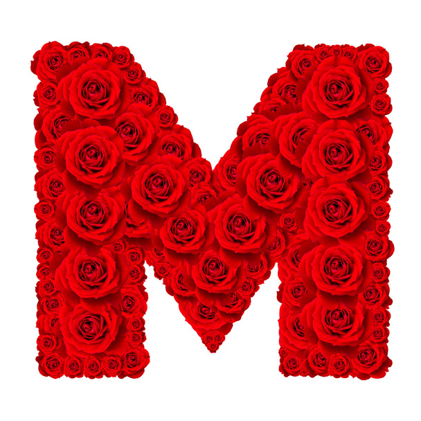 Rose alphabet set - Alphabet capital letter M made from red rose - Φωτογραφία, εικόνα