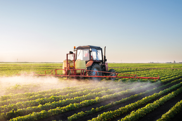 Tractor spraying soybean field  - Photo, Image