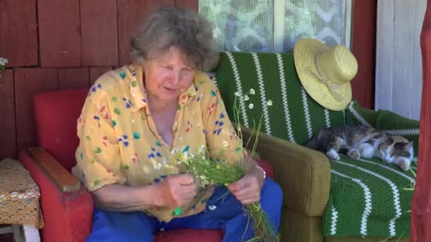 幸せなシニアおばあちゃんの女性は猫と話し、カモミールハーブ植物を選びます。4k - 映像、動画