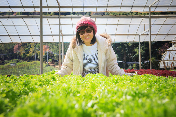 γυναίκα υγιή φροντίδα στην υδροπονική λαχανικών θερμοκηπίου plantatio - Φωτογραφία, εικόνα