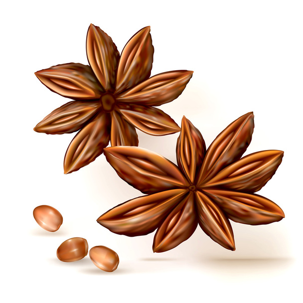 Anise stars seeds - Vector, Image
