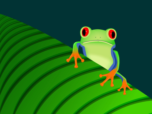 Red eyed tree frog sitting on leaf - Vector, Image
