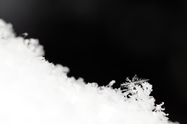 один снежный кристалл с ветвями
 - Фото, изображение