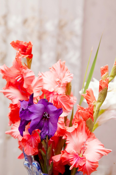 Beautiful bouquet of pink gladioli - 写真・画像