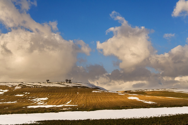 RURAL LANDSCAPE WINTER. Parque Nacional de Alta Murgia: colinas nevadas.- (Apúlia) ITÁLIA
 - Foto, Imagem