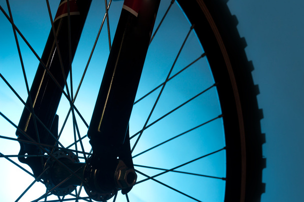 Bicycle tire and spoke wheel - Foto, immagini